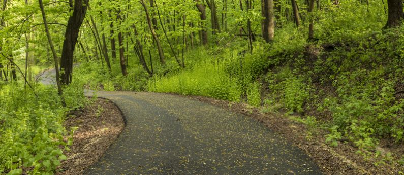 Unveiling the Trail