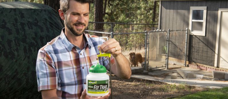 How to use the RESCUE!  Reusable Fly Trap