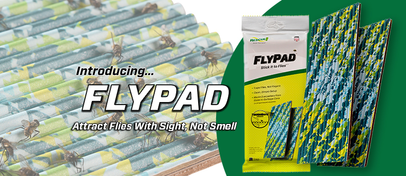 FlyPad - A Sticky Fly Trap That Won't Stick to You!