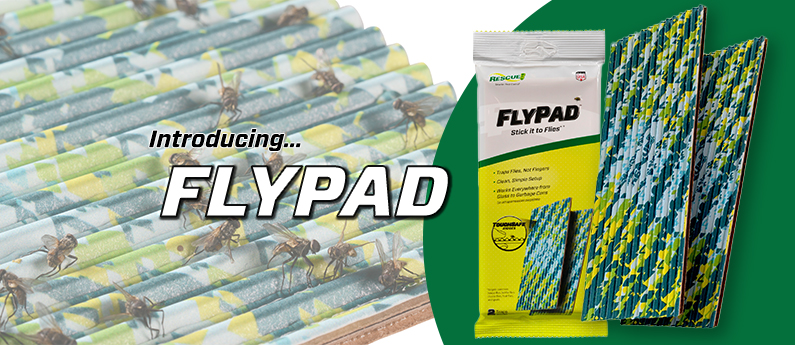 FlyPad - A Sticky Fly Trap That Won't Stick to You!
