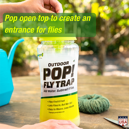 The RESCUE!® POP! Fly Trap