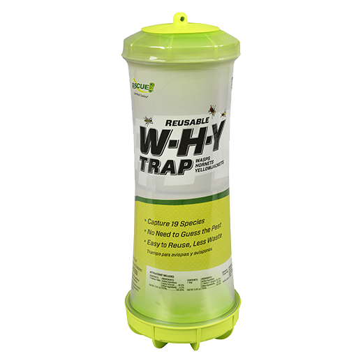 W·H·Y Trap for Wasps, Hornets & Yellowjackets