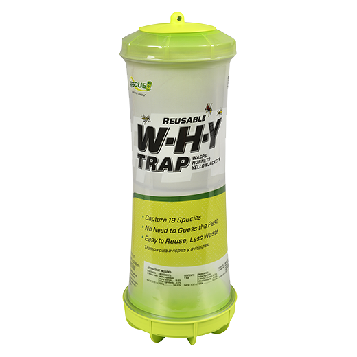 The Buzz Fly Catcher with Insect Attractant Bait Twin Pack