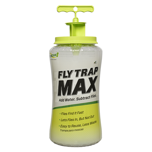 THE FLY TRAP