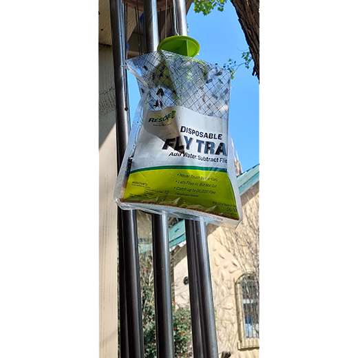 RESCUE!® Reusable Fly Trap