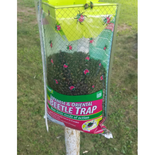 Sterling Japanese Beetle Trap with Zipper Bottom