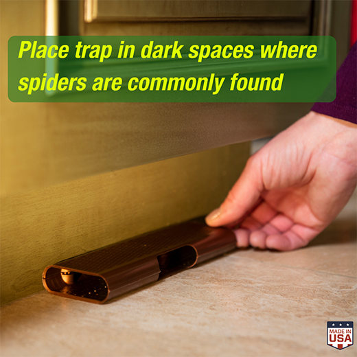 Safer® Home Spider & Insect Traps