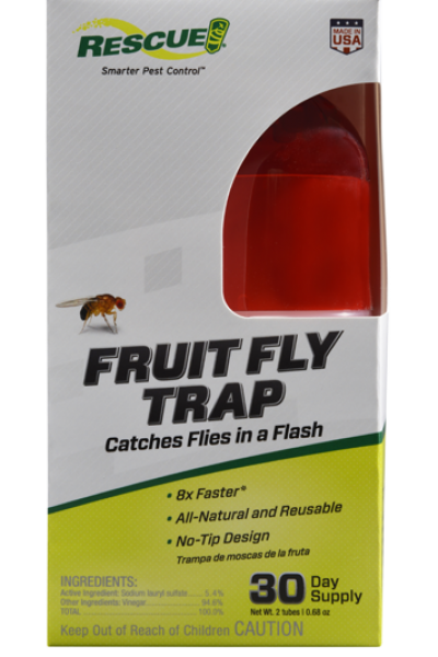 Fruit Fly Trap