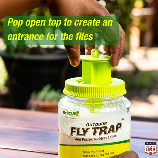 RESCUE!® Reusable Fly Trap