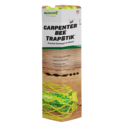 TrapStik, Carpenter Bee