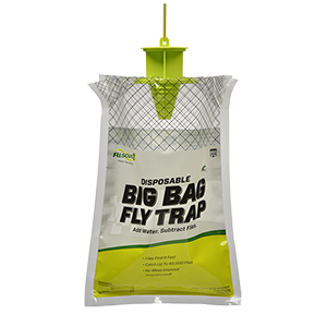 What's the best fly trap for my yard?