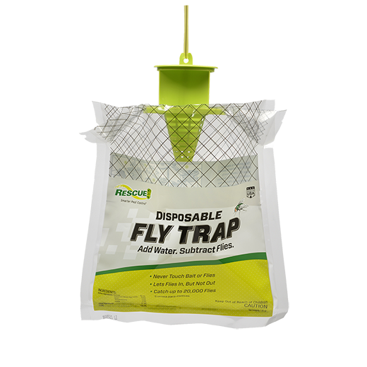 Disposable Fly Trap