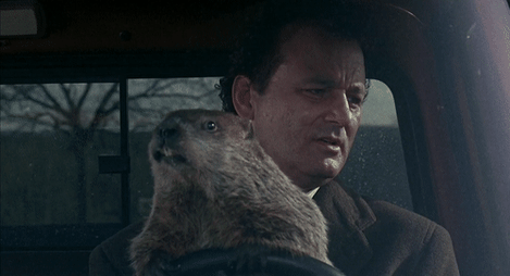 Bill Murray with groundhog