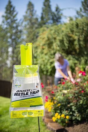 The RESCUE! Japanese Beetle Trap protects your yard from destructive Japanese beetles. 