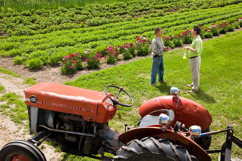 Verne Fallstrom of Strawberry Hill Nutrition Farm talks with RESCUE! Director of Research Dr. Qing-He Zhang. 