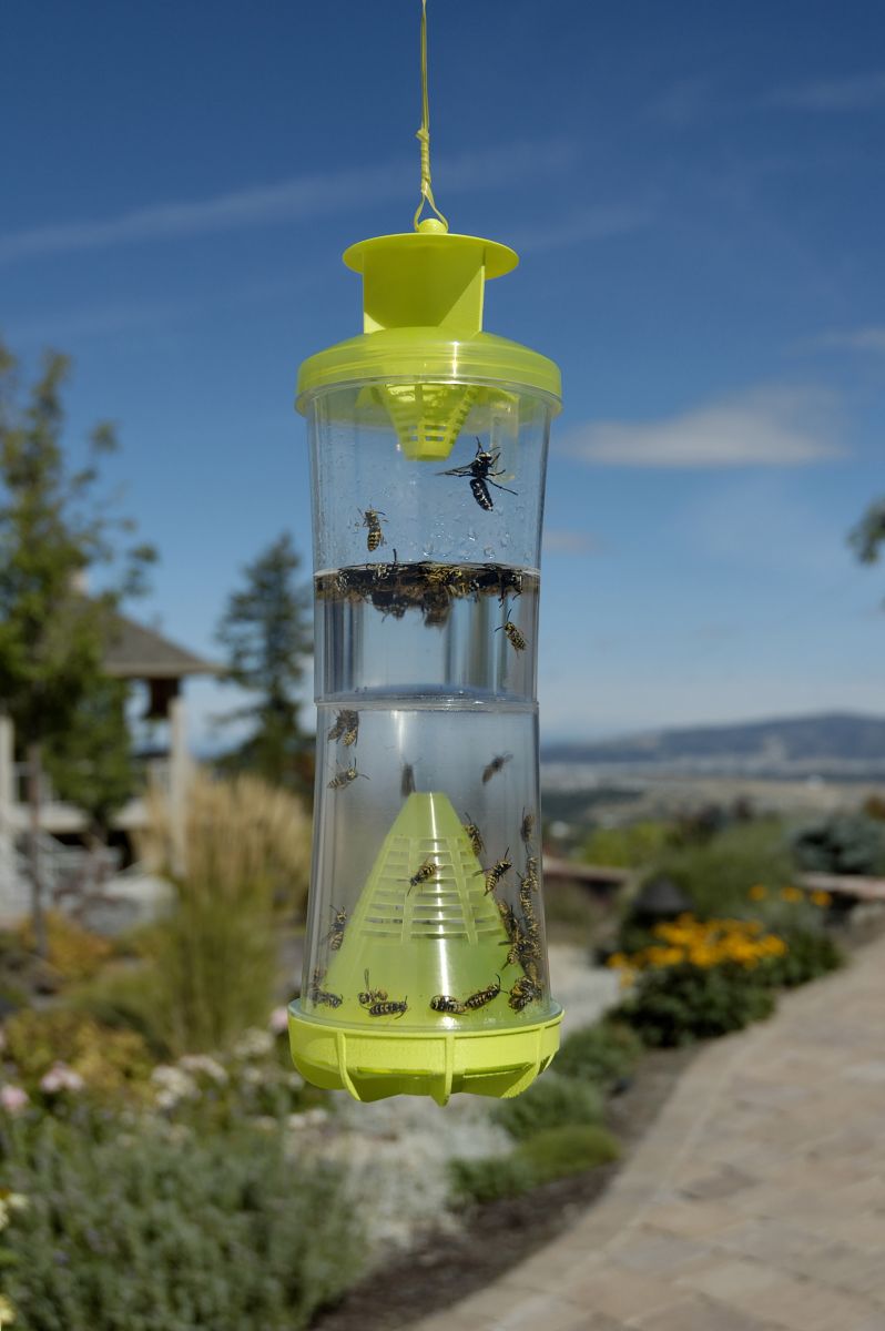 The RESCUE! WHY Trap for Wasps, Hornets & Yellowjackets