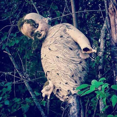 wasp nest around doll body