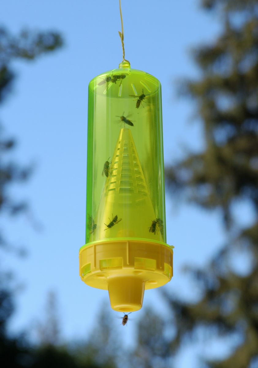 Rescue Yellowjacket Trap