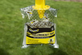 Protect your picnic or campground with the RESCUE! Disposable Yellowjacket Trap.