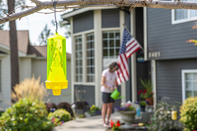 The RESCUE! Yellowjacket Trap, like all other RESCUE! Pest Control Products, is made in the USA.