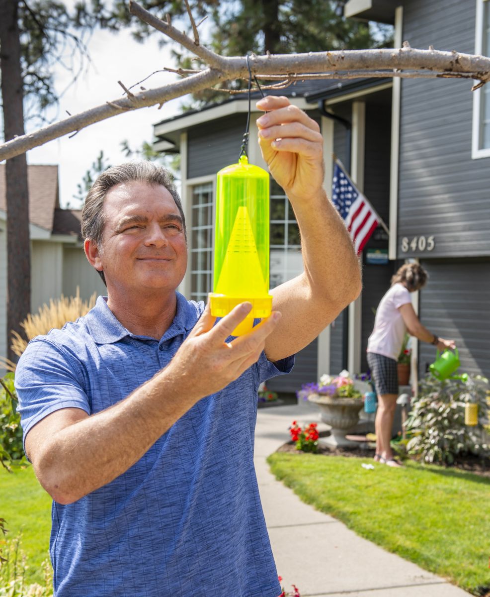 Hang RESCUE! Yellowjacket Traps in spring to catch the queens