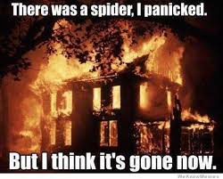 Burning down the house to get rid of a spider.