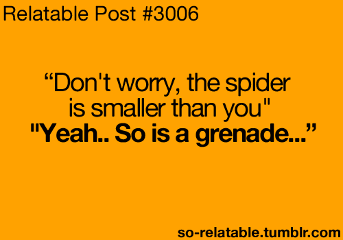 "Don't worry, the spider is smaller than you."