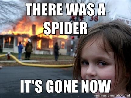 There was a spider. It's gone now. 