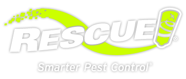 Rescue Pest Control
